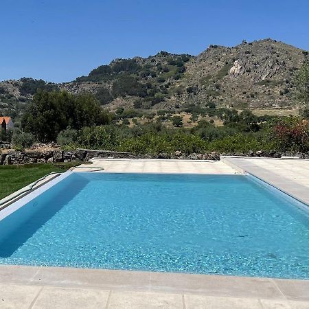 Casas Da Villa - Monsanto - Oliveira E Videira Relva  Esterno foto