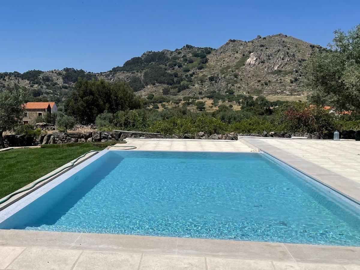 Casas Da Villa - Monsanto - Oliveira E Videira Relva  Esterno foto